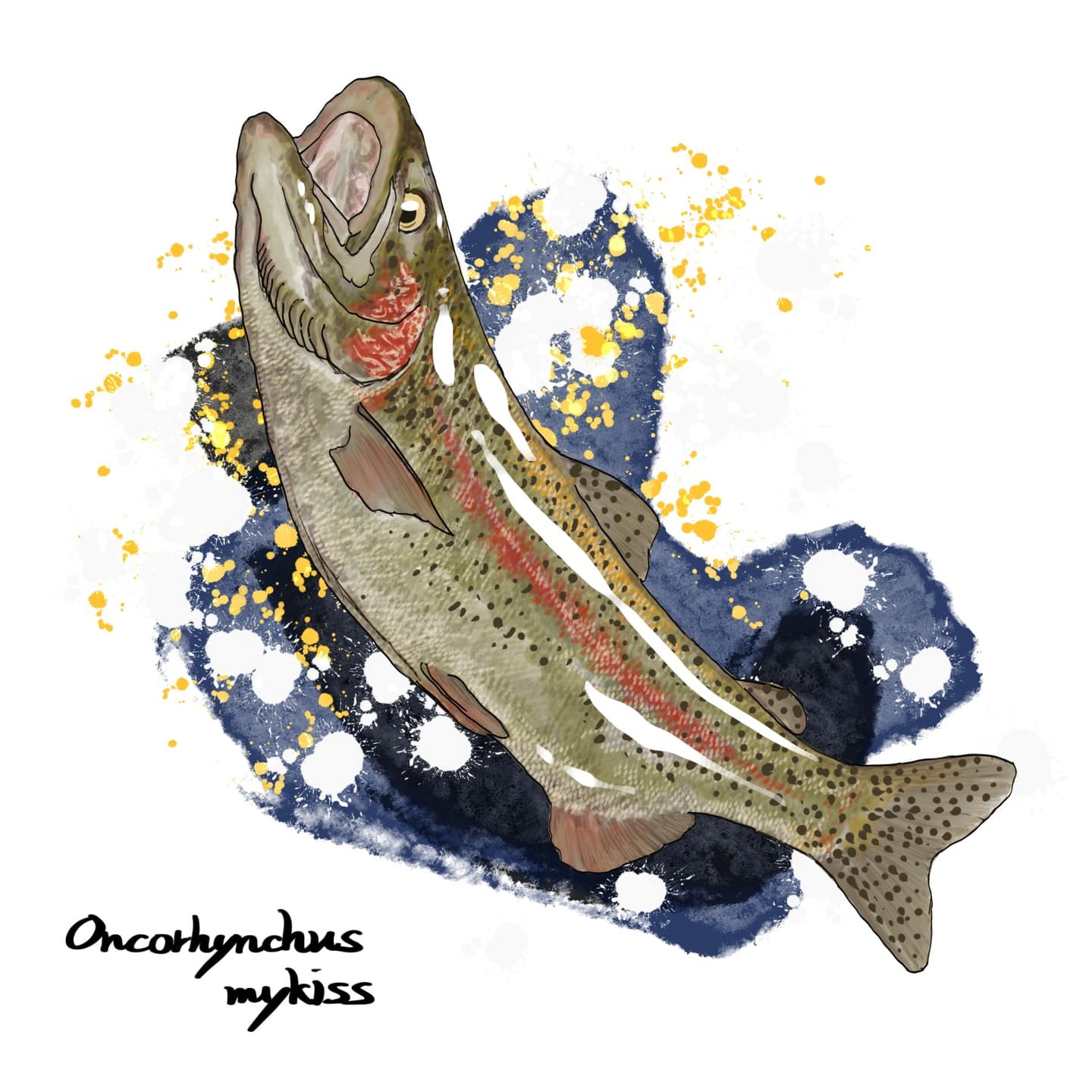 ニジマス（Oncorhynchus mykiss）のイラスト。銀緑色の体側に赤い縦帯が走り、水しぶきを背景に力強く跳ね上がる姿を描写。