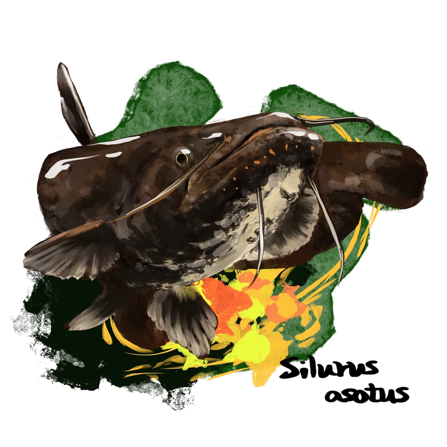 ナマズの長いヒゲと大きな口を描いたイラスト