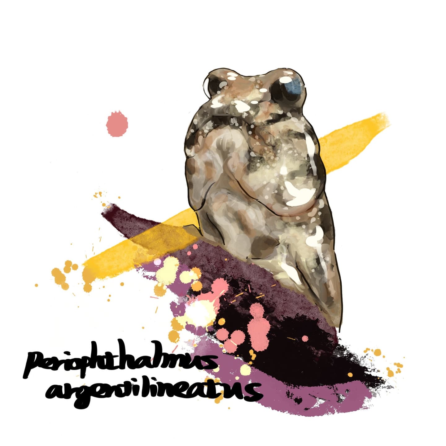 陸上活動もするミナミトビハゼの姿を描写