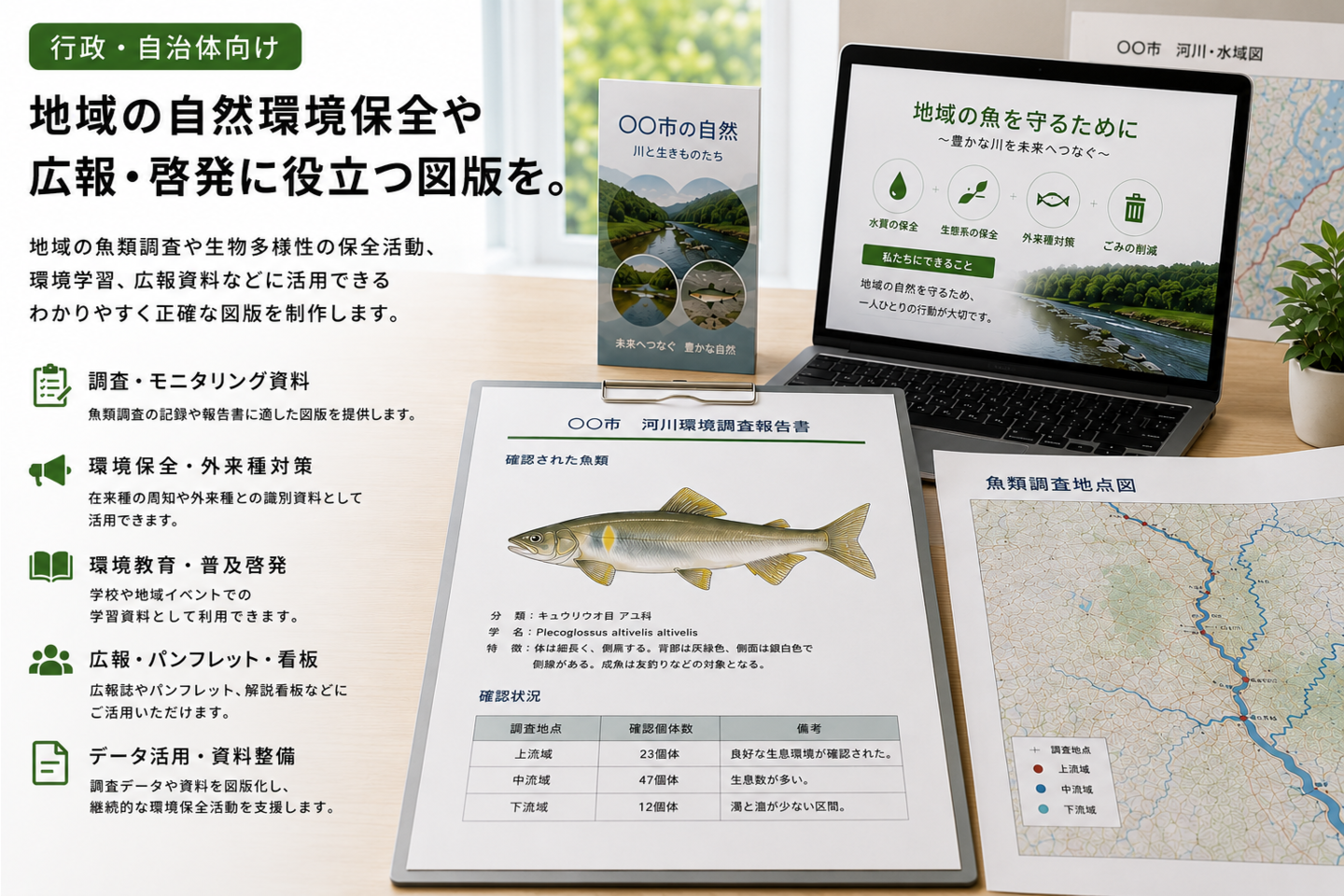 行政・自治体向けの魚類図版活用例。アユの魚類図版を掲載した河川環境調査報告書、魚類調査地点図、自然環境保全パンフレット、環境啓発資料が机上に並び、地域の魚類調査や生物多様性保全、広報活動への活用を表現したイメージ。